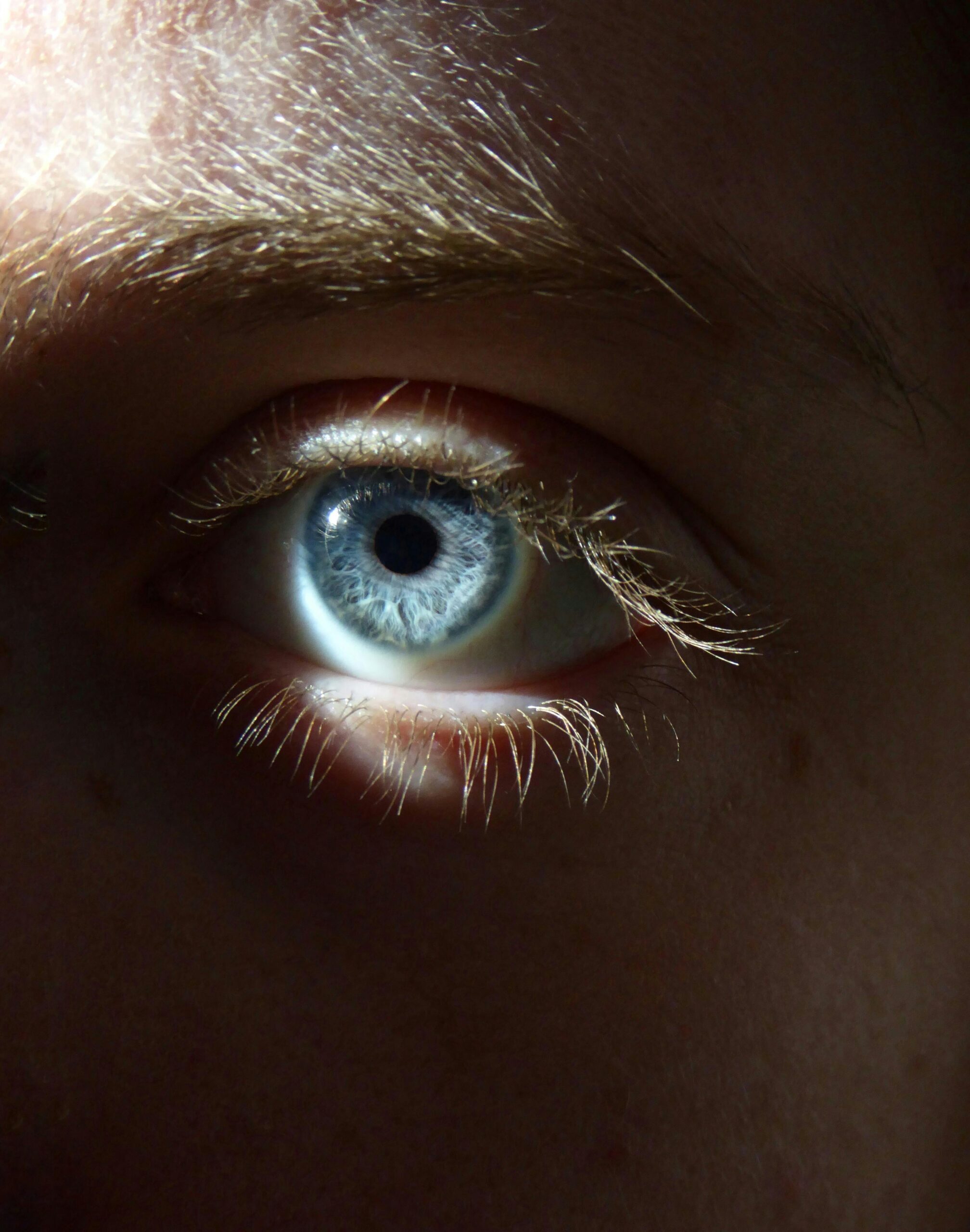 pexels johanna 59968841 15685385